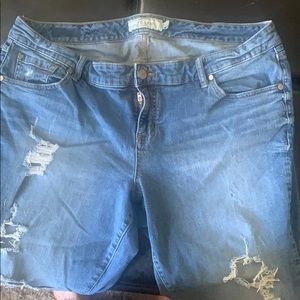 Torrid plus denim Capri with distressed areas